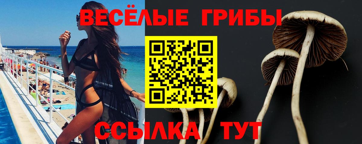 Псилоцибиновые грибы GOLDEN TEACHER  Псилоцибиновые грибы прущие грибы  Дюртюли  Вход с VPN 